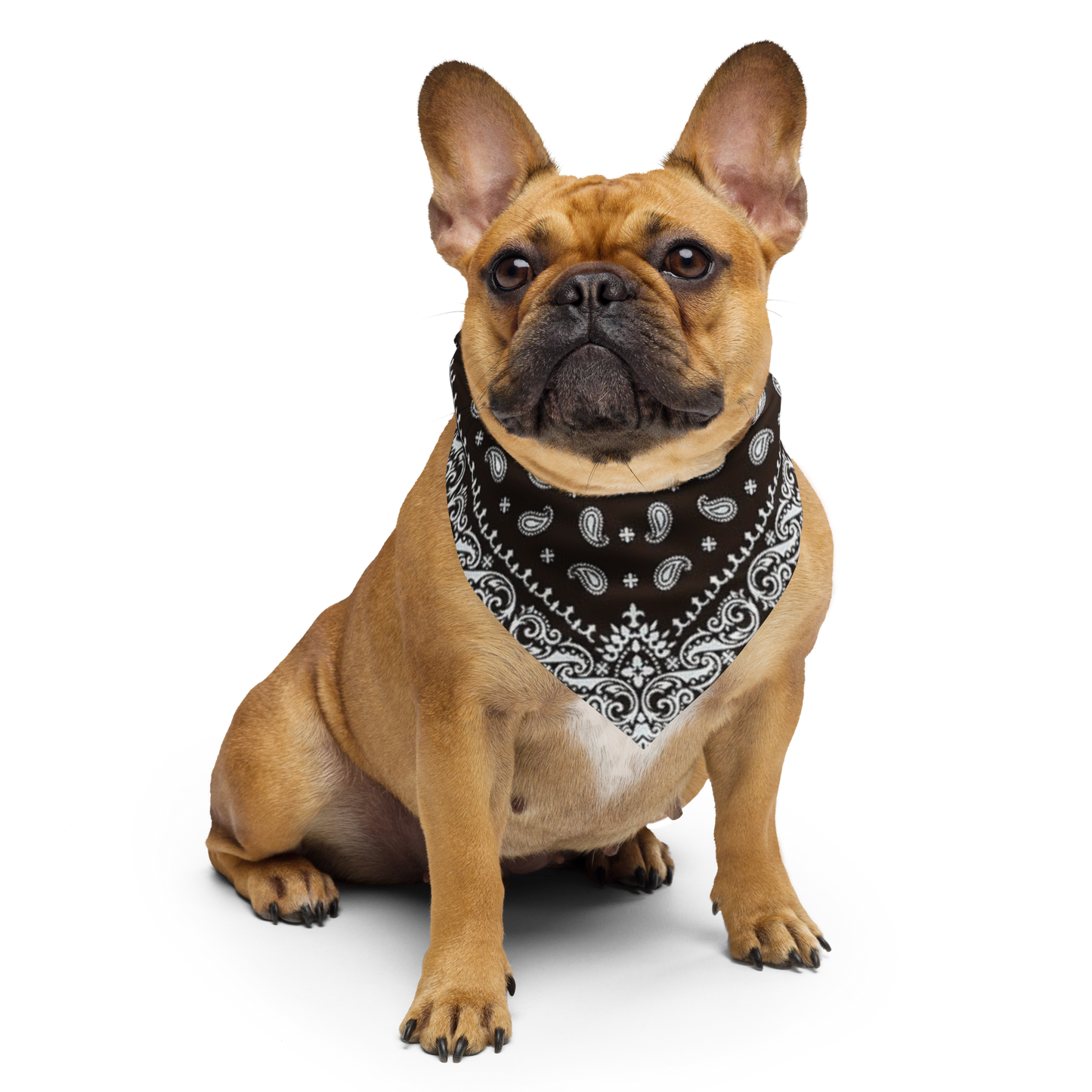 Traditional Sureños Bandana